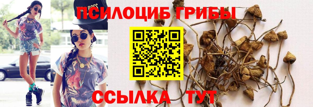 где продают   Галлюциногенные грибы мухоморы  Вход с VPN  Ачхой-Мартан 